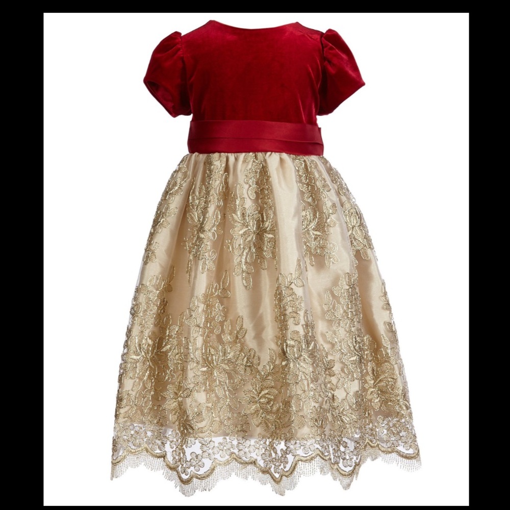 Girls Velvet/Embroidered Mesh Fit-And-Flare Dress 
Size 6